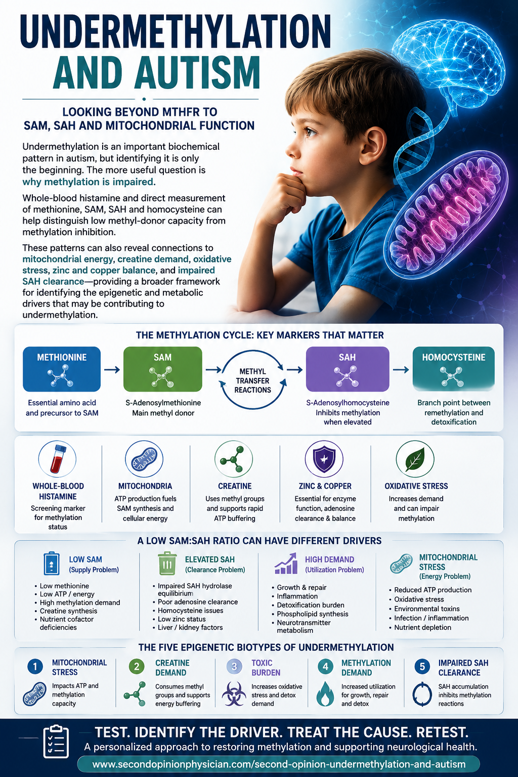 Undermethylation and autism: methylation, mitochondrial energy, zinc and copper balance, oxidative stress and detoxification