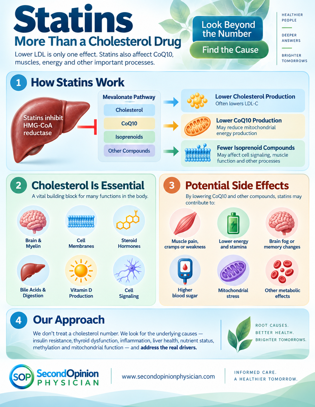 Statins infographic showing reduced CoQ10, mitochondrial strain, muscle energy problems, and cardiovascular risk