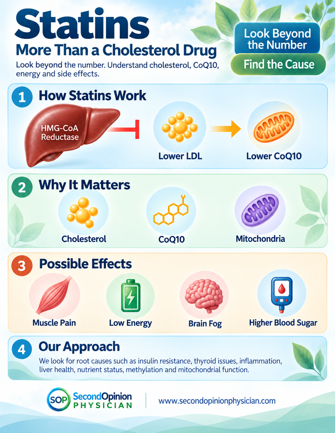 Statins and cholesterol illustration highlighting CoQ10, muscle symptoms, mitochondrial energy and metabolic risk