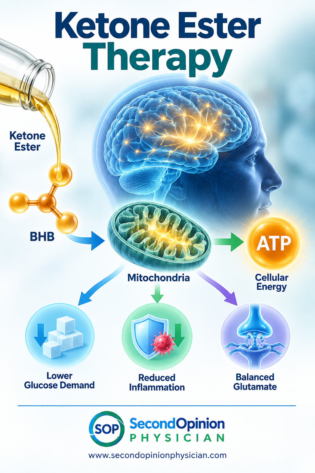 ketone.ester.info.2