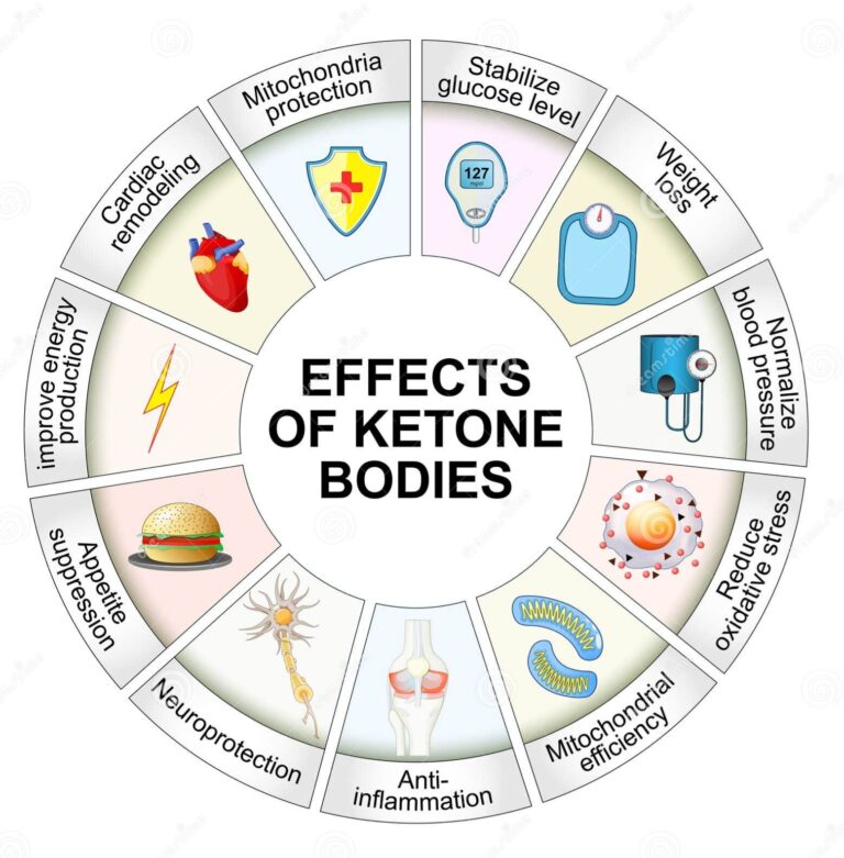 ketones methylation ketone esters mitochondria