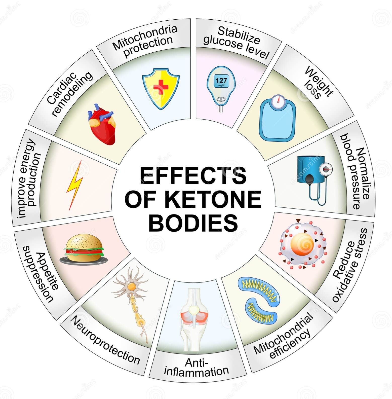 ketones methylation ketone esters mitochondria