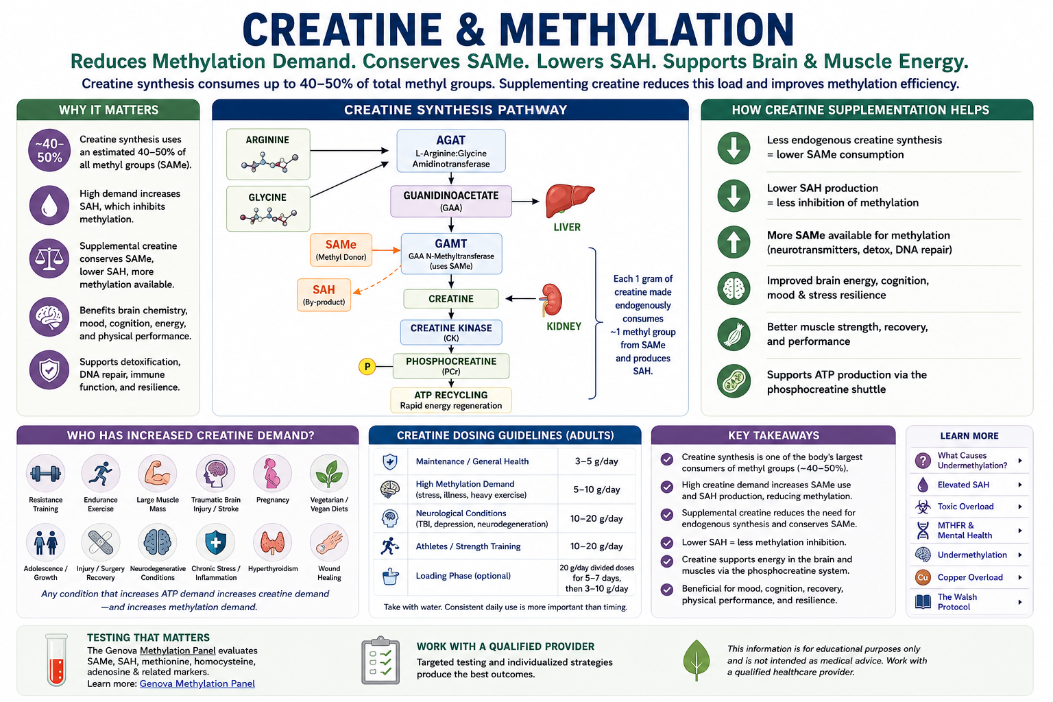 creatine and glutathione together Liposomal Vital Vitamins Glutathione 60 ct