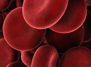 symptoms of pyroluria