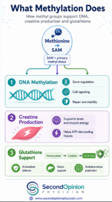 how to read methylation panel report what is methylation