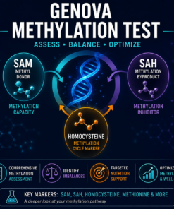 sam sah ratio test methylation panel genova plasma methylation blood methylation glutathione methionine