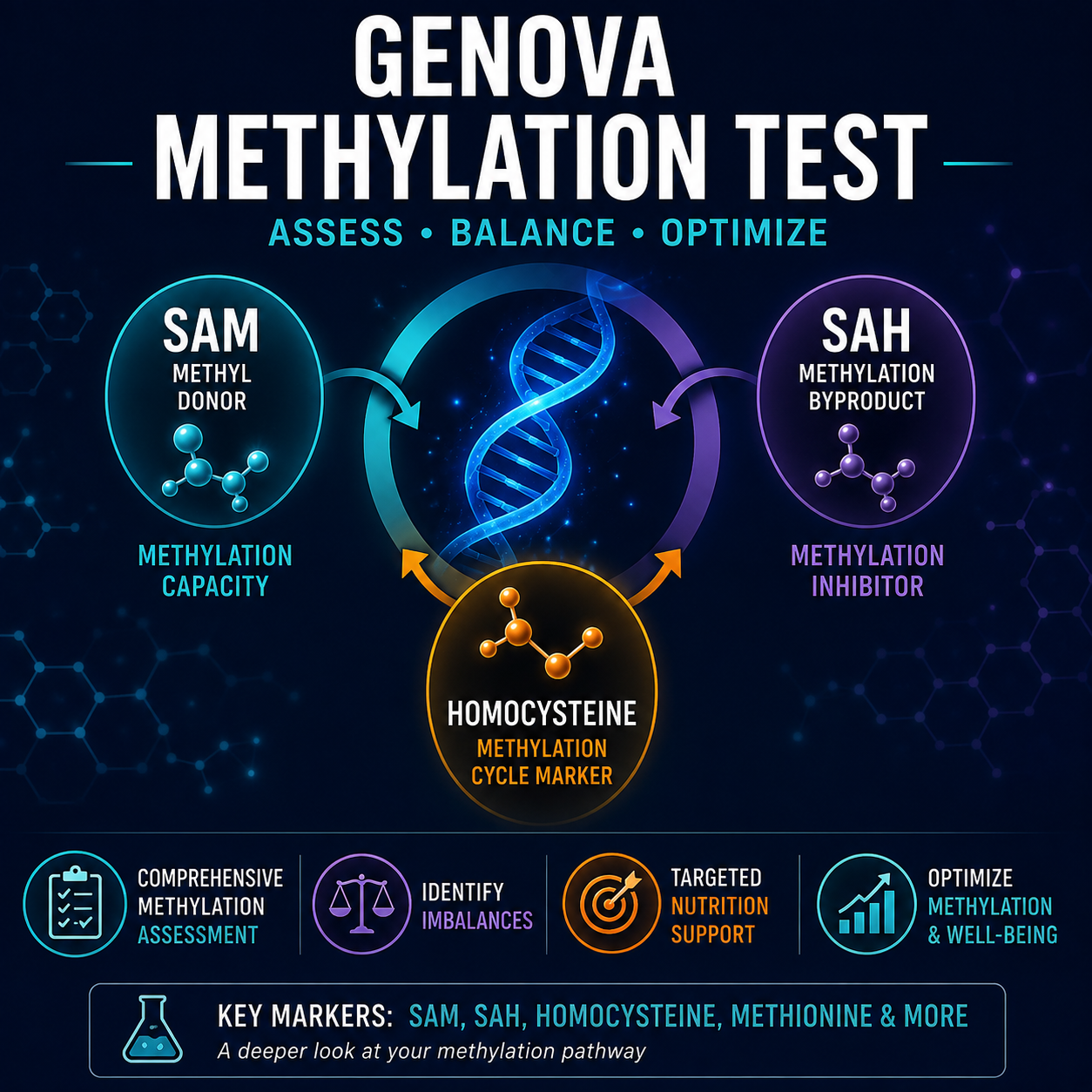 sam sah ratio test methylation panel genova plasma methylation blood methylation glutathione methionine