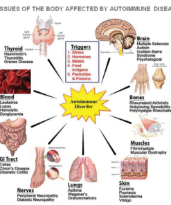 arthritis test panel online