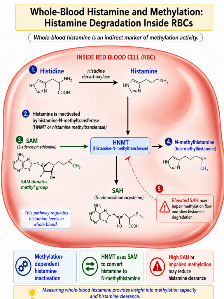 walsh protocol undermethylation and whole blood histamine