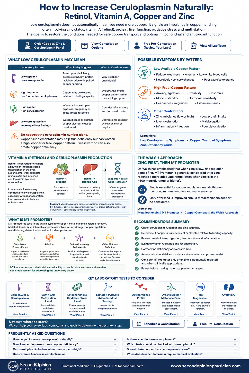 Low ceruloplasmin infographic showing vitamin A, retinol, copper, zinc and Walsh MT Promoter support