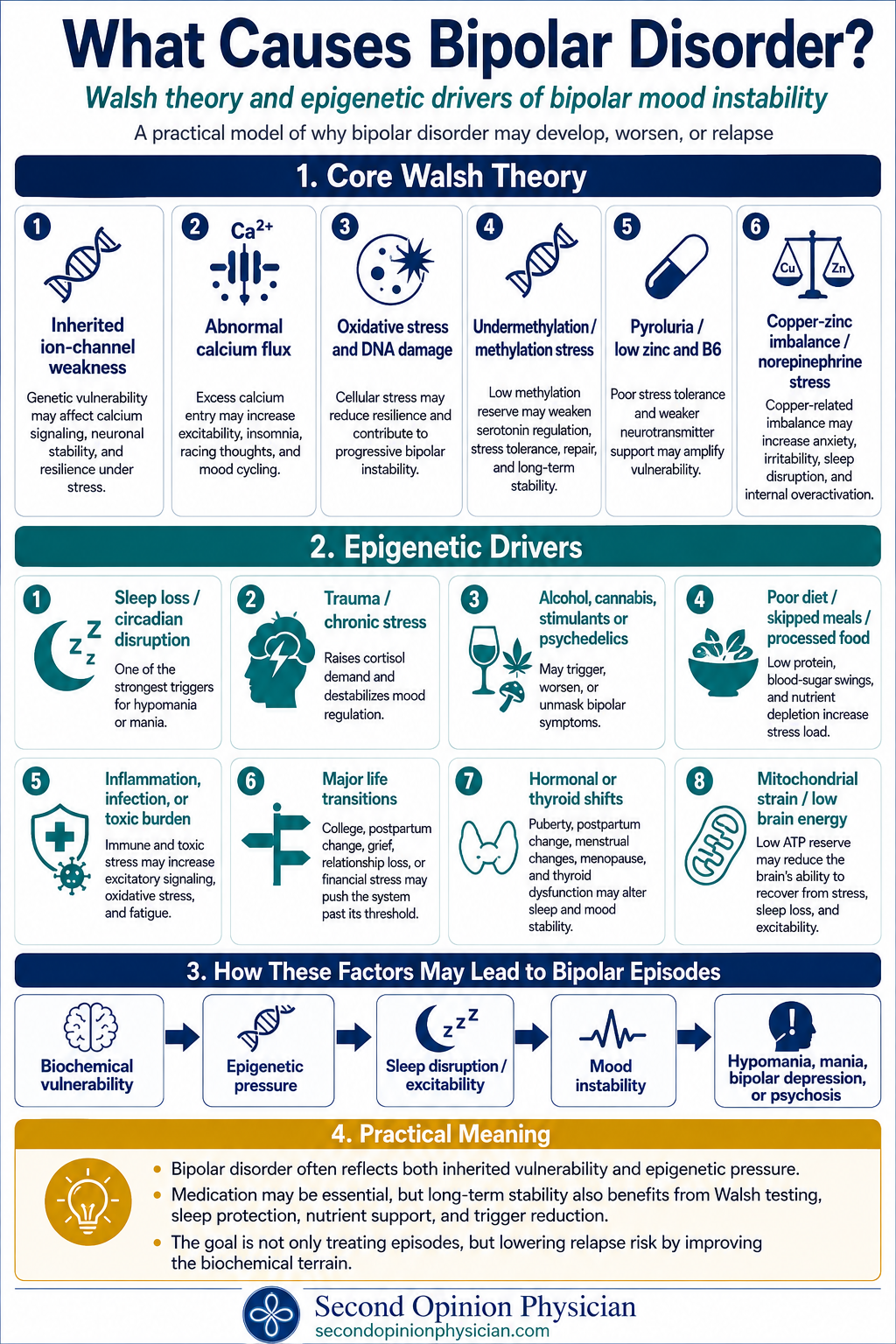 what causes bipolar disorder caused by inflammation oxidatives stress