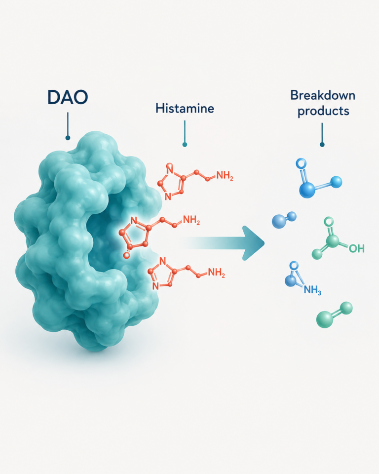 dao supplements to lower histamine symptoms
