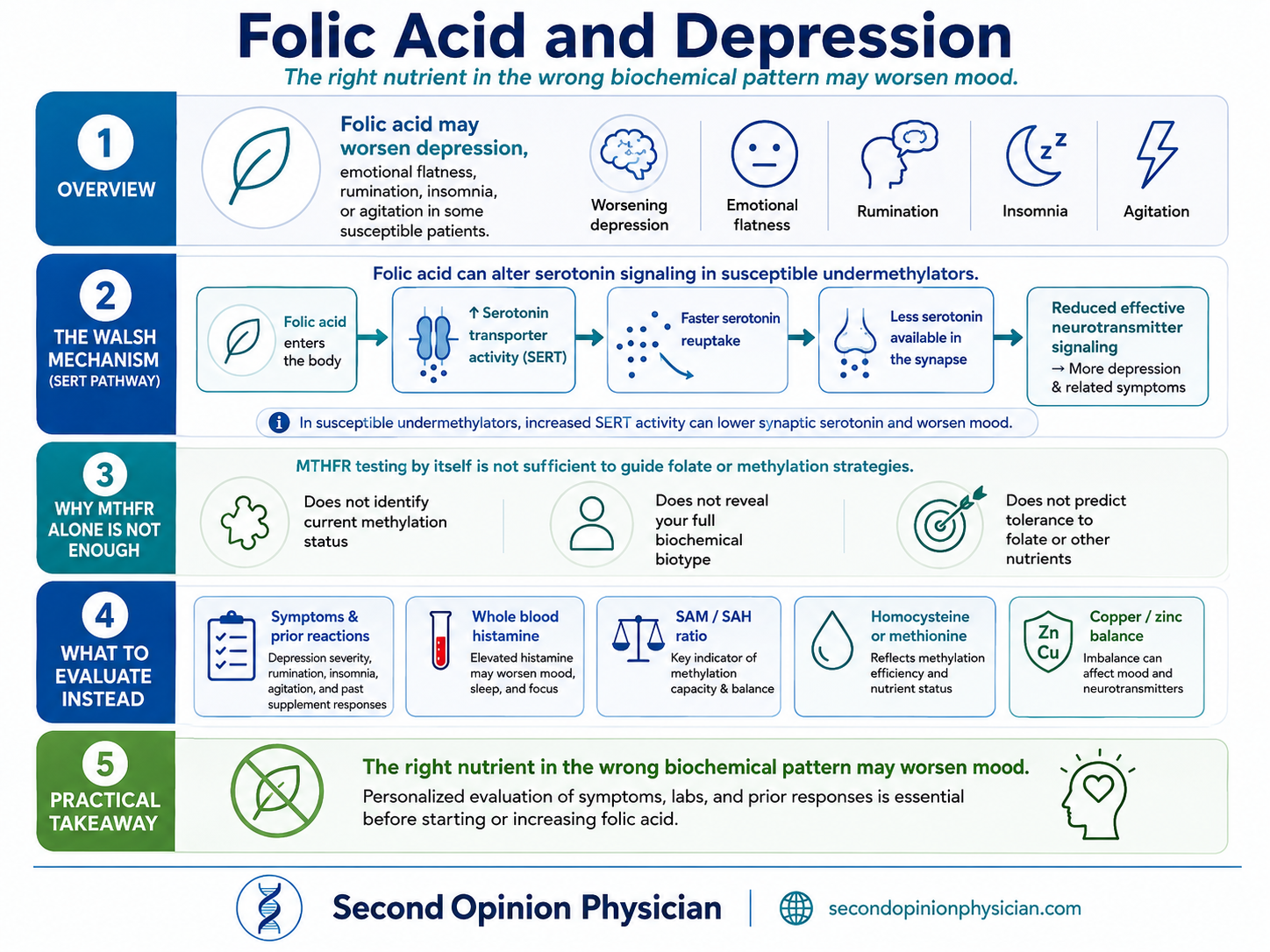 Infographic explaining how different folate forms may affect anxiety, depression and serotonin reuptake in the Walsh model