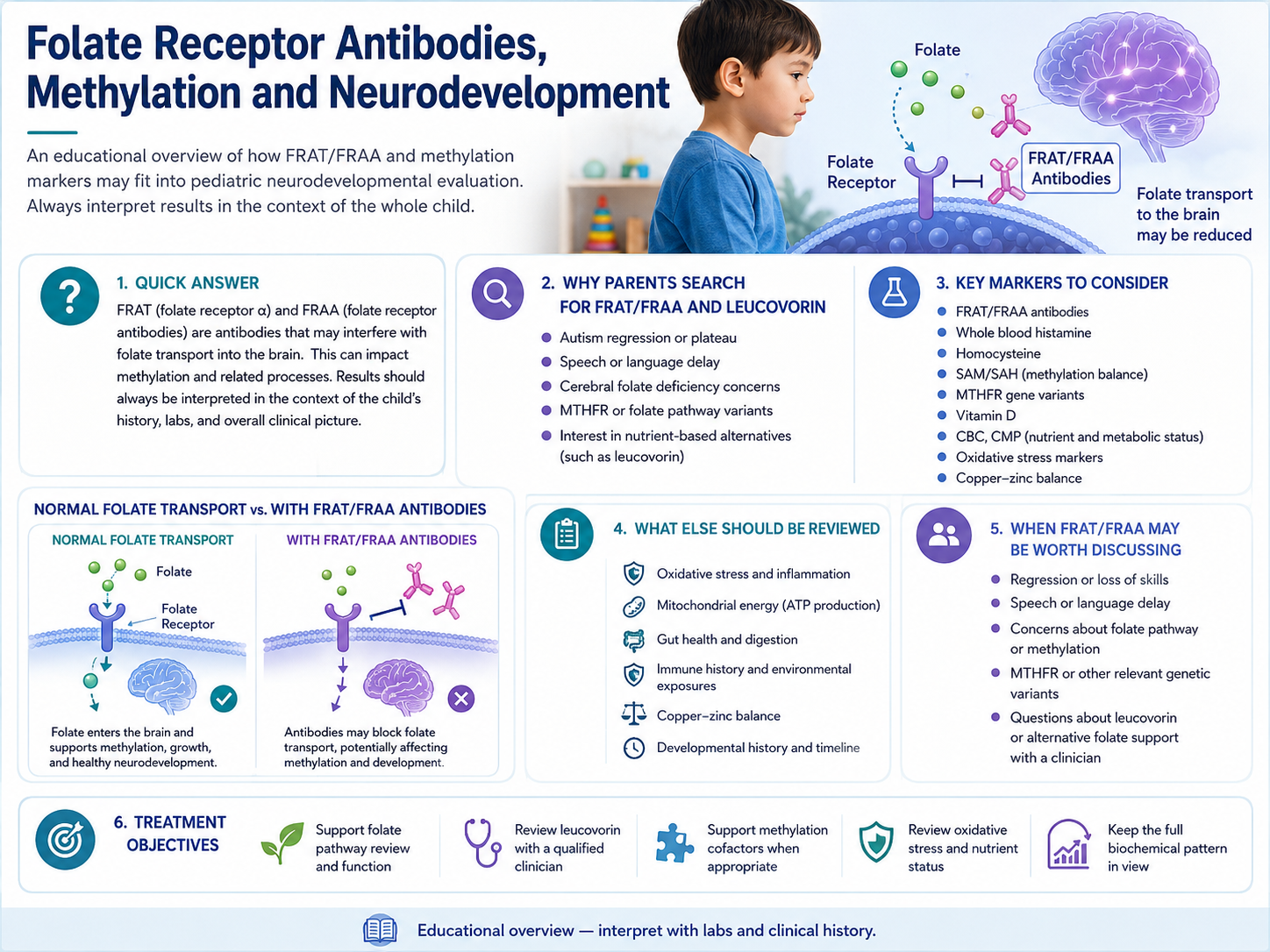 FRAT FRAA methylation and neurodevelopment framework including folate transport, leucovorin context, MTHFR, whole blood histamine, homocysteine, and SAM SAH balance