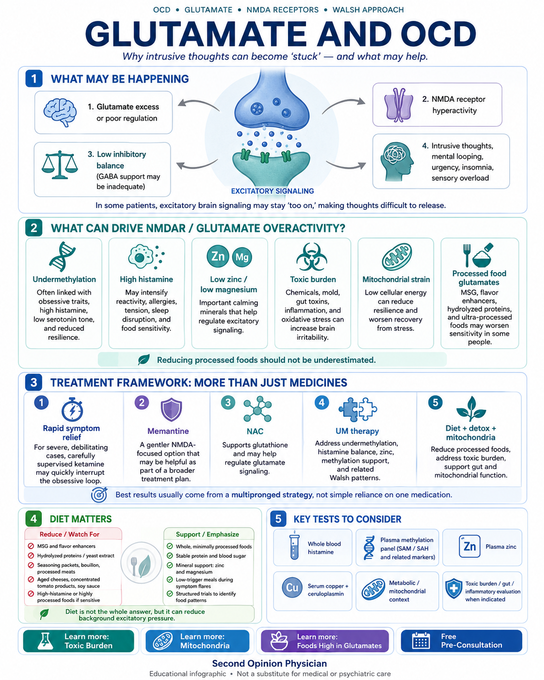 Glutamate & OCD: NMDA Receptors, Ketamine, Undermethylation