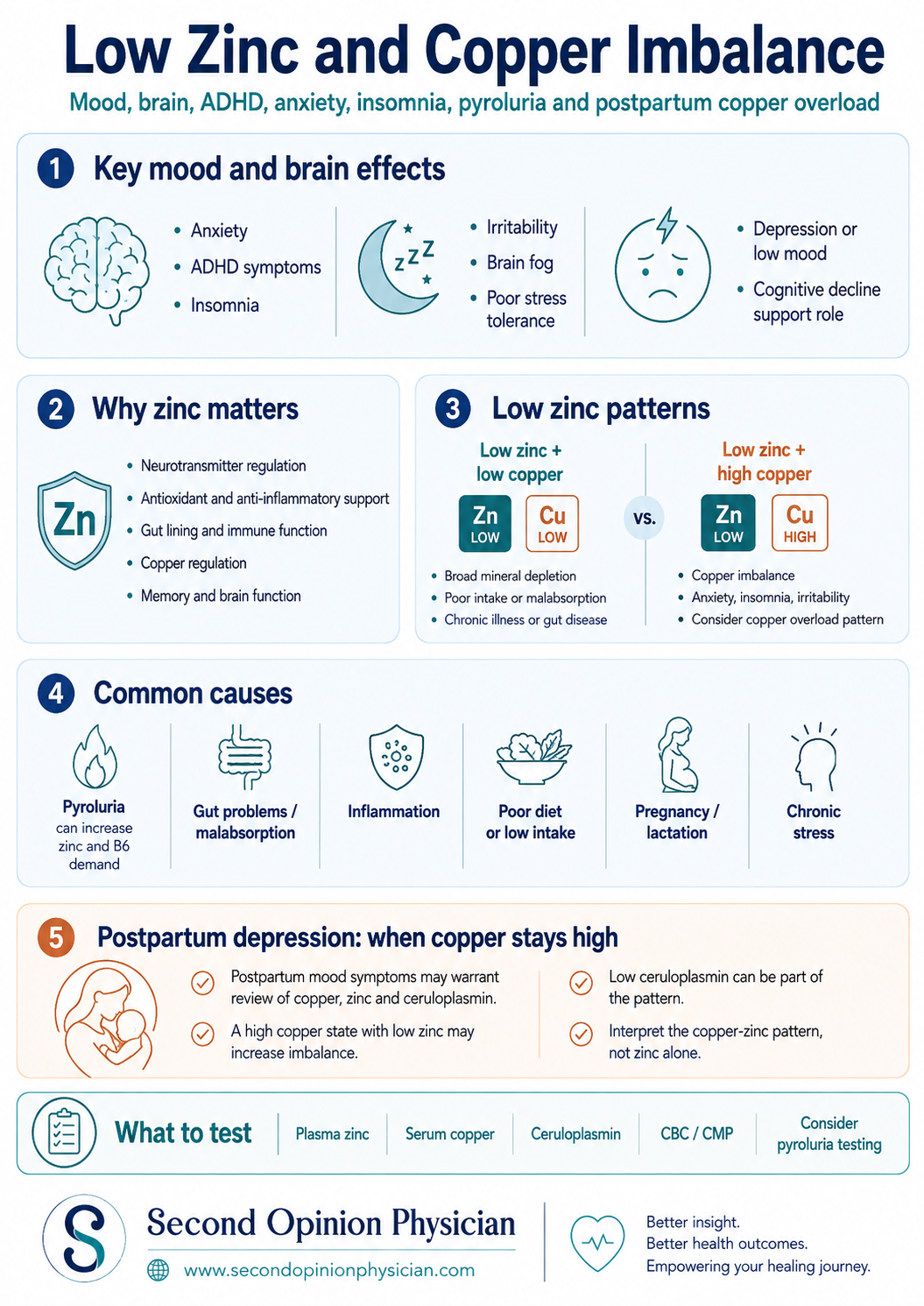 Low zinc and copper imbalance infographic showing anxiety, ADHD, brain function, pyroluria, gut causes, copper overload and laboratory testing.