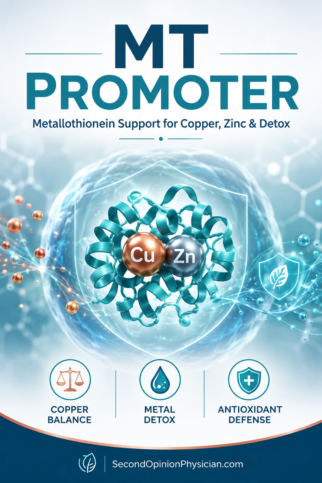 Metallothionein MT Promoter Therapy walsh approach walsh protocol copper overload treat low ceruloplasmin