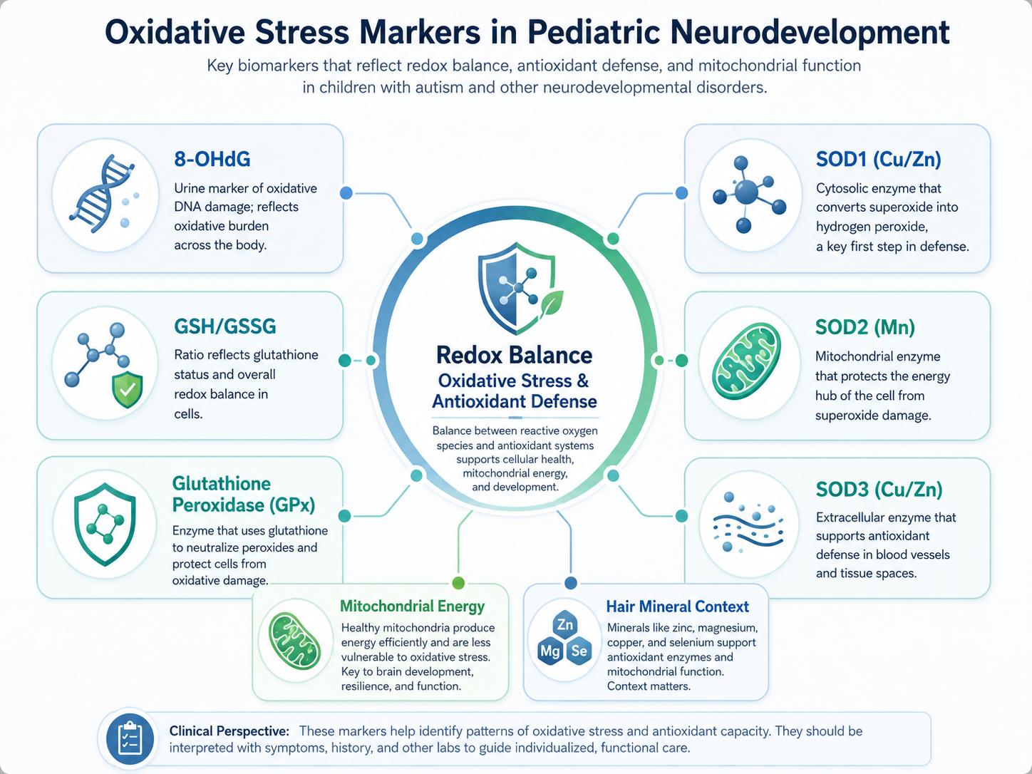 Oxidative stress markers in pediatric neurodevelopment including 8-OHdG, GSH GSSG, glutathione peroxidase, SOD1 copper zinc, SOD2 manganese, SOD3 copper zinc, mitochondrial energy, and hair mineral context