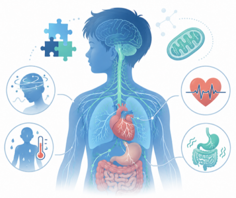 treatment for dysautonomia symptoms autism