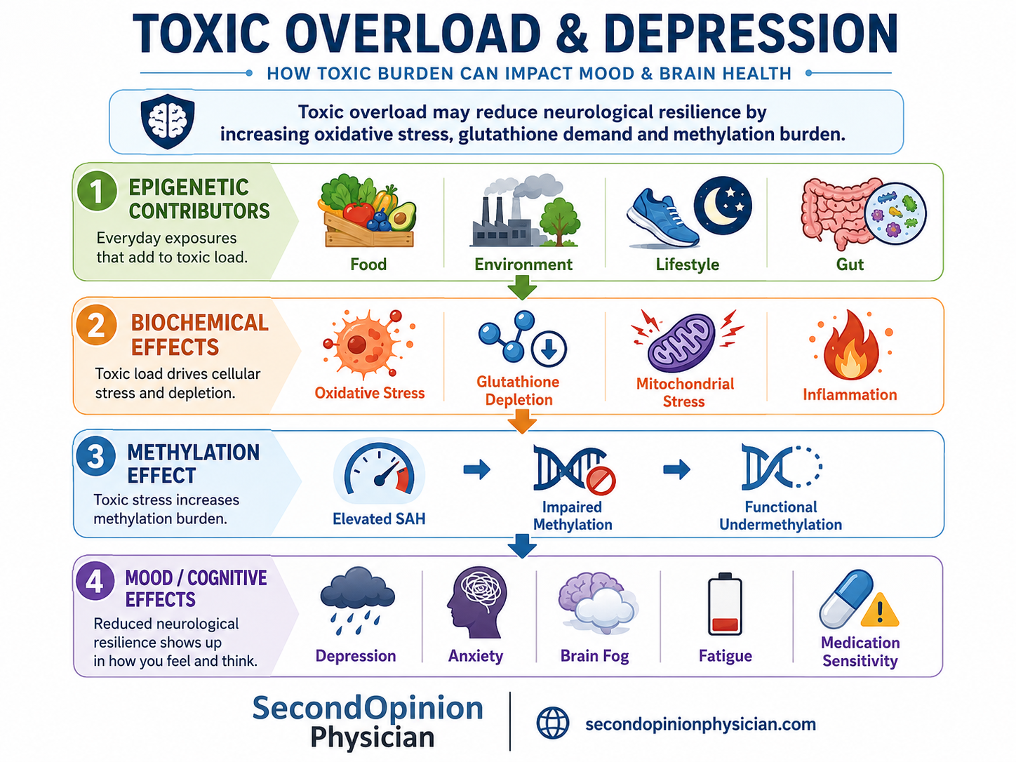 Toxic overload and depression infographic showing epigenetic exposures, oxidative stress, glutathione depletion, elevated SAH, impaired methylation, depression, anxiety, brain fog and fatigue.