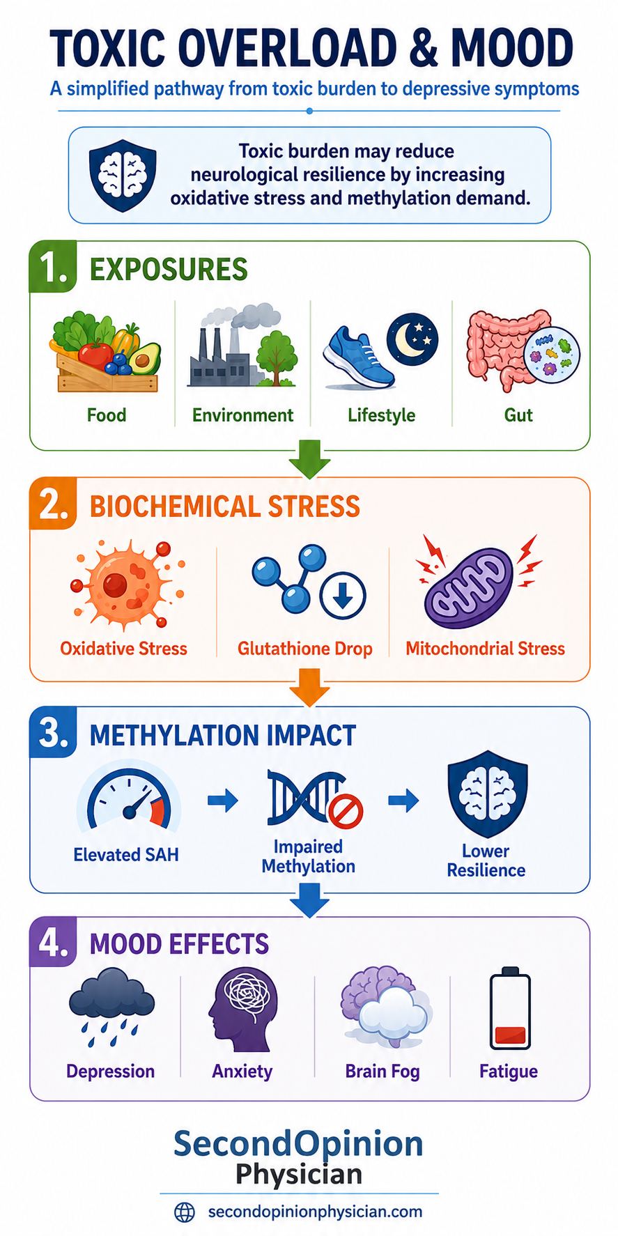 methylation and toxic burden depressions toxic overload depression