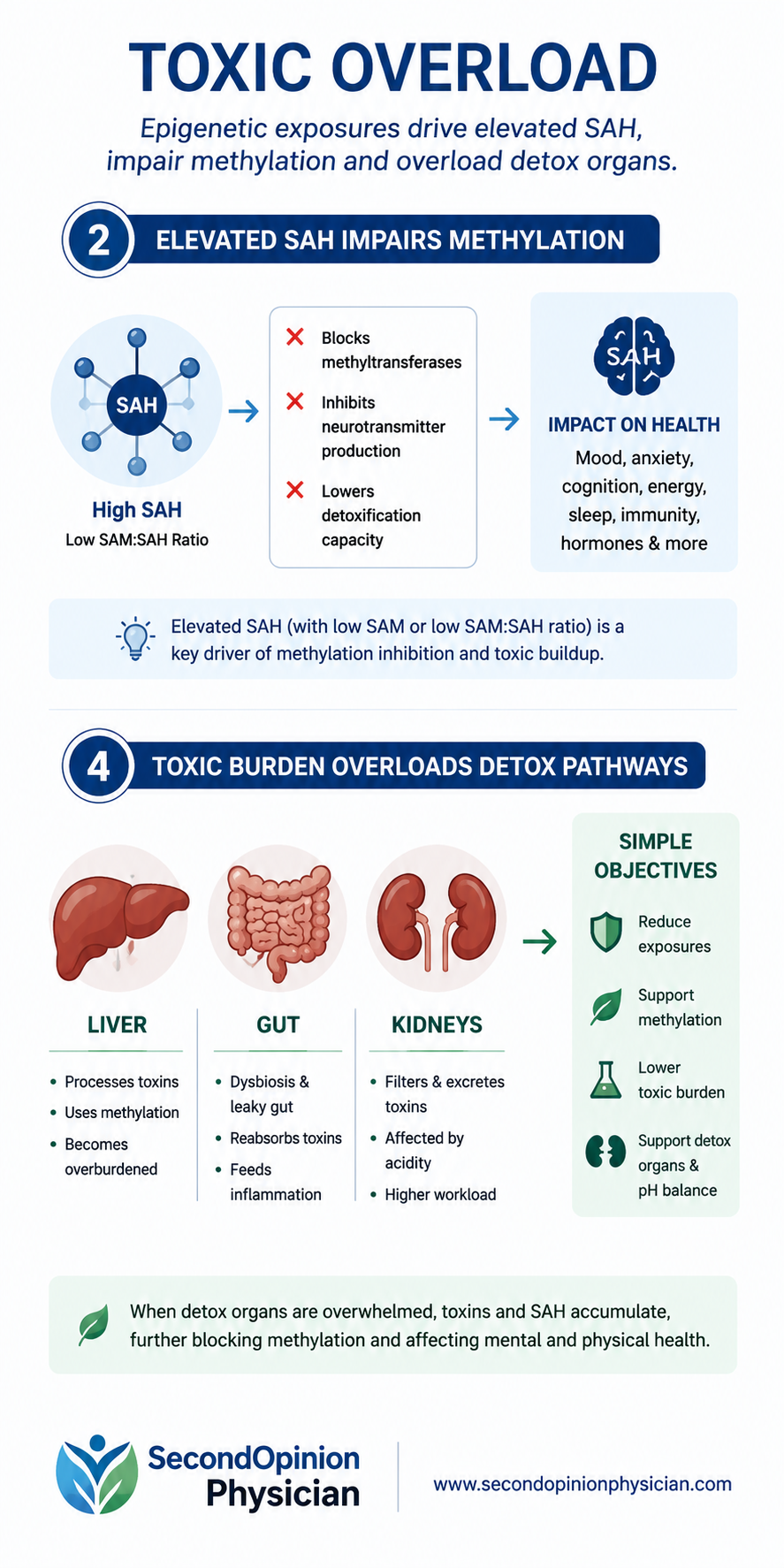 toxic overload symptoms kidney detox elevated sah