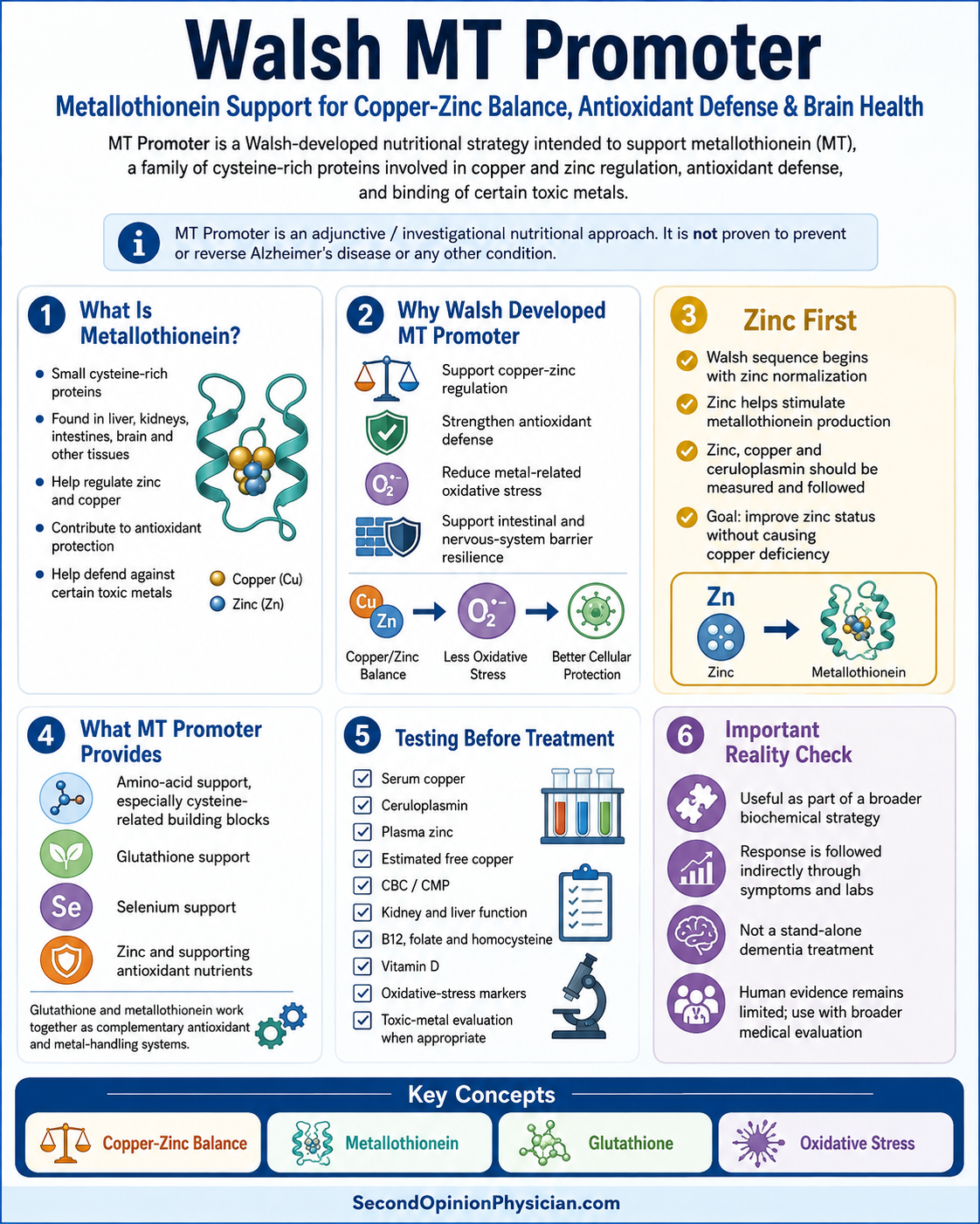 metallothionein glutathione MT Promoter for Alzheimer's Glutathione Quantification Total Glutathione كريم توحيد لون Size:60 Veg Caps