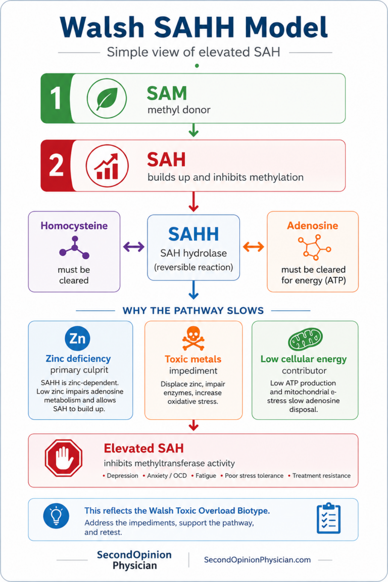walsh theory cause of elevated sah zinc deficiency