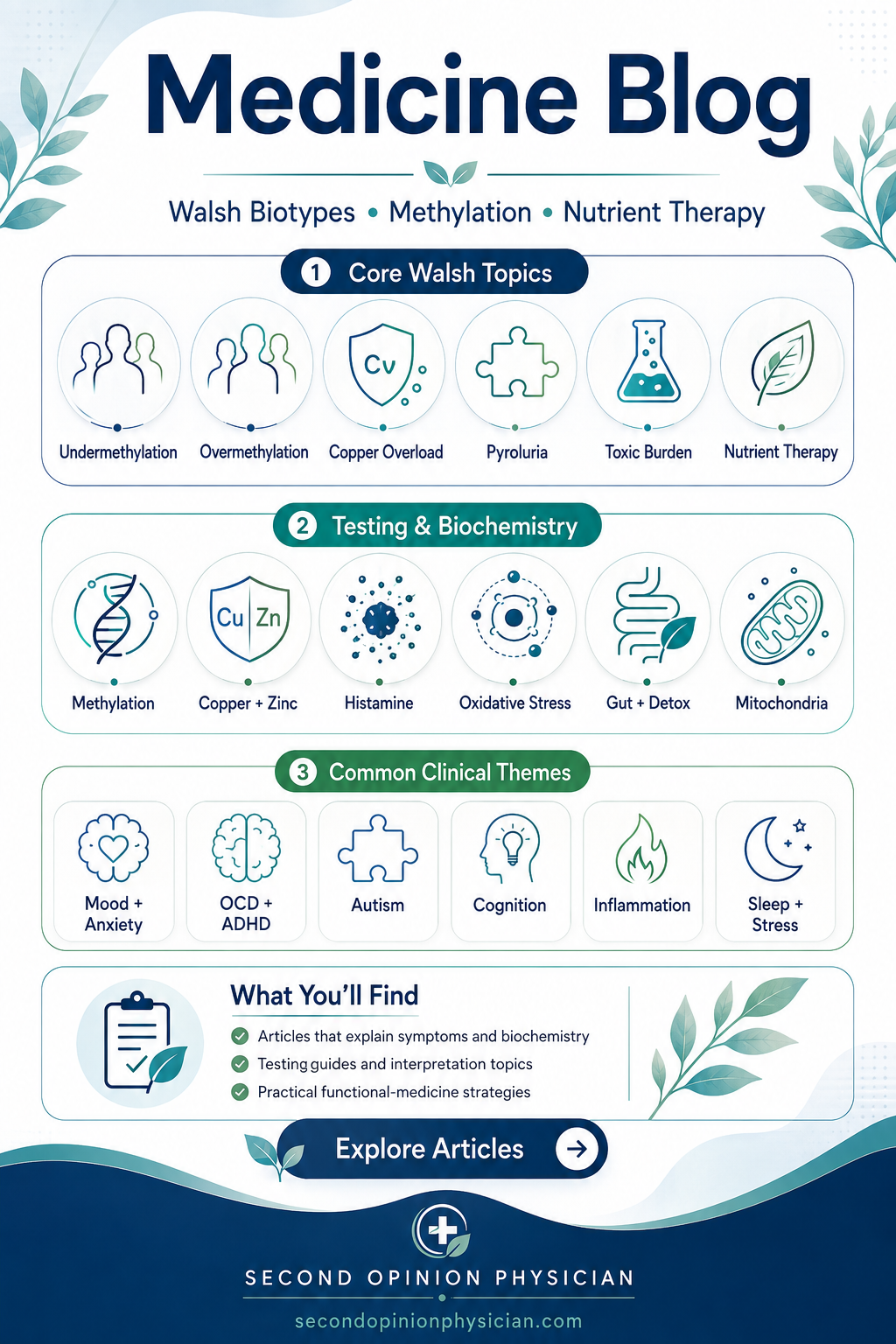 articles by david epstein second opinion physician walsh practitioner topics in undermethylation telemedicine practitioner Medicine blog covering Walsh biotypes, methylation, copper overload, pyroluria, mitochondria, gut health and natural treatment options