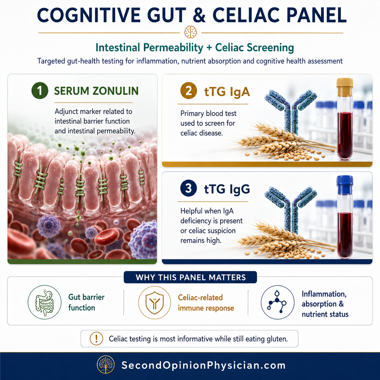 Cognitive Gut and Celiac Panel showing serum zonulin intestinal permeability testing and tTG IgA and IgG celiac disease screening