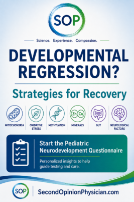 Developmental regression strategies for recovery – mitochondria, oxidative stress, methylation, minerals, gut and neurological factors