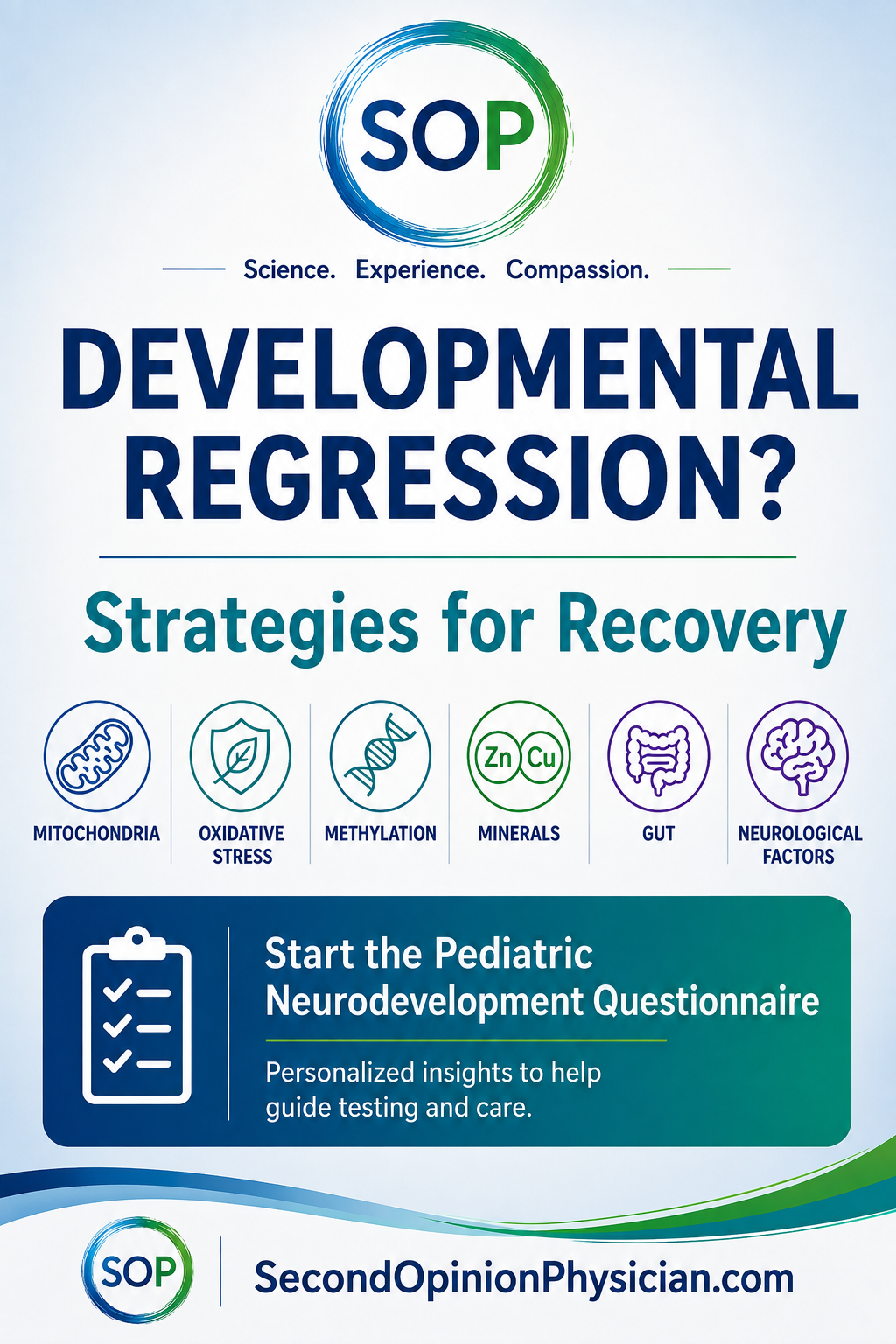 Developmental regression strategies for recovery – mitochondria, oxidative stress, methylation, minerals, gut and neurological factors