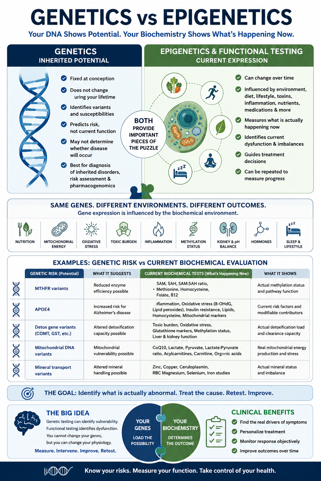 Genetic testing vs functional testing infographic comparing inherited genetic risk with current methylation, mitochondrial function, oxidative stress, minerals and metabolic health