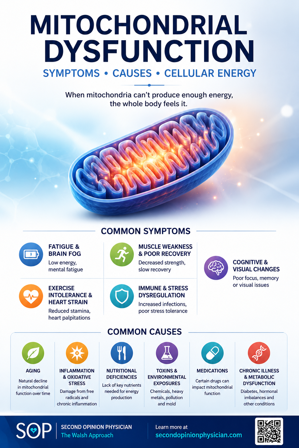 what causes mitochondrial dysfunction symptoms signs mitochondria problems causes