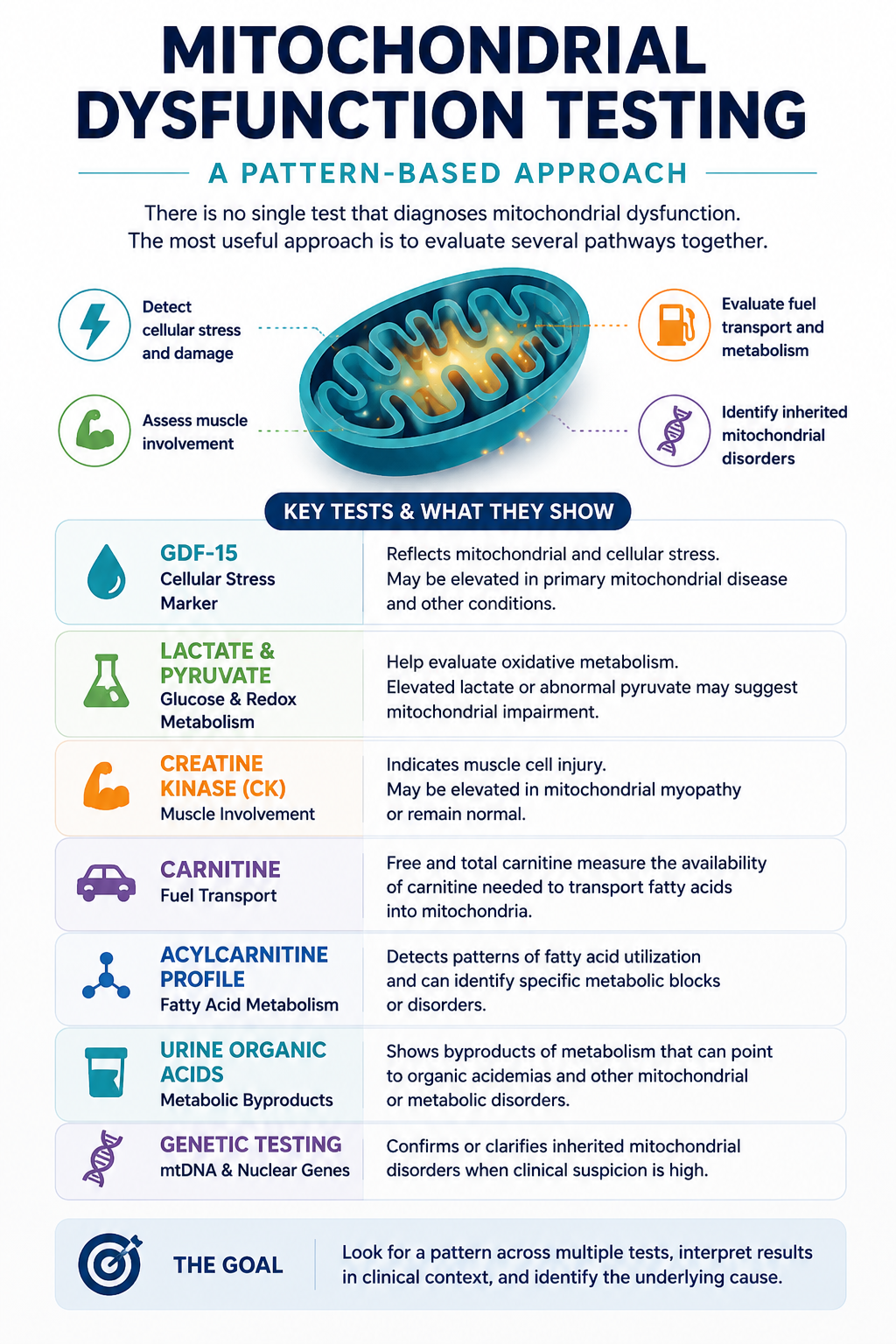 what is the best mitochondrial test what mitochondrial dysfunction testing options