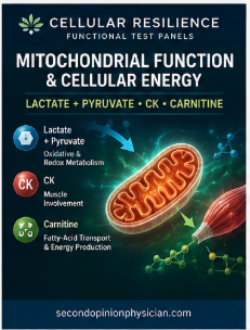 mitochondrial dysfunction test lactate pyruvate creatine kinase carnitine test for mitochondria function
