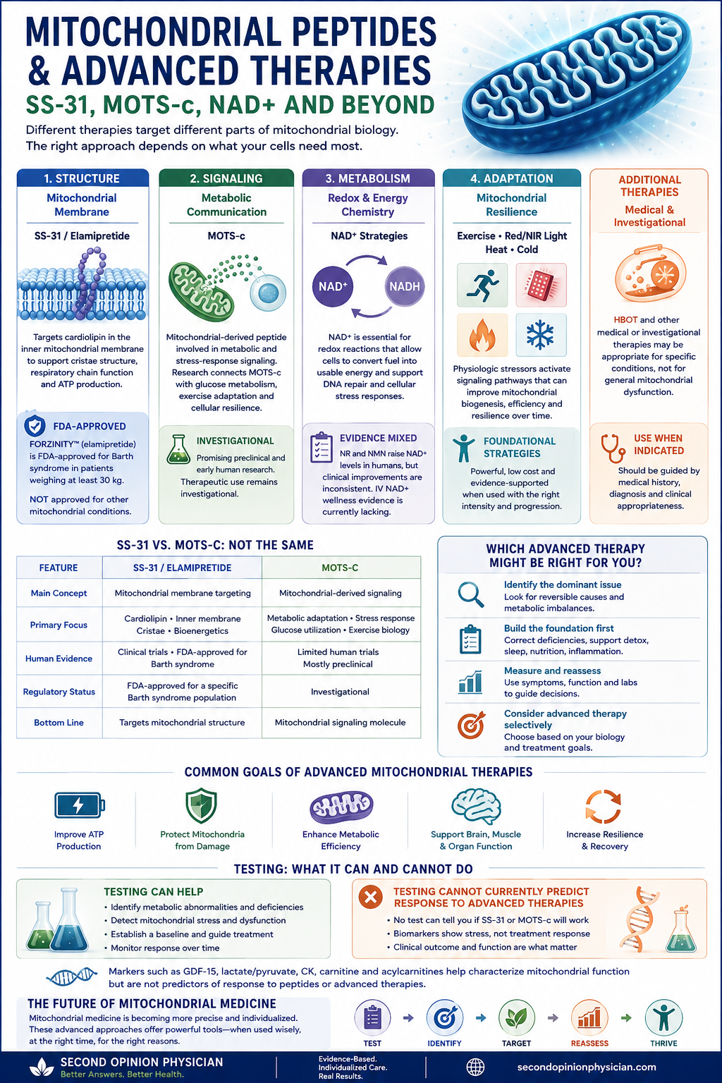 Mitochondrial peptides and advanced therapies including SS-31, MOTS-c, NAD+, photobiomodulation and other approaches