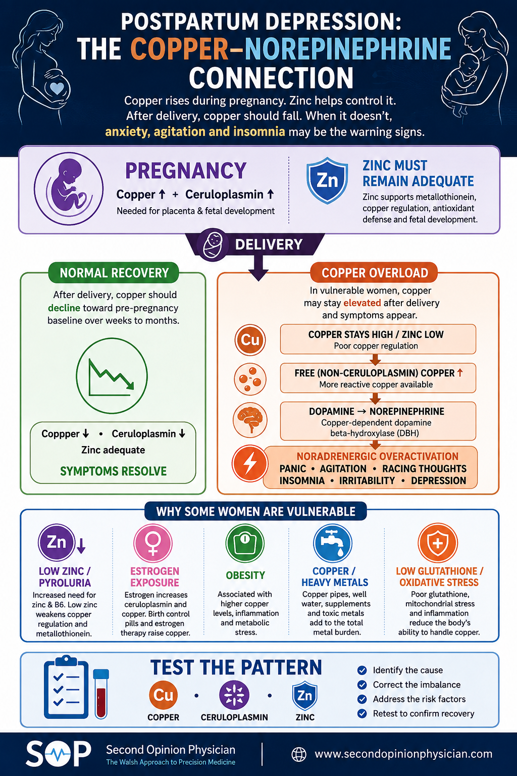 Postpartum depression infographic explaining pregnancy copper rise, low zinc, free copper, norepinephrine, pyroluria and the Walsh Approach