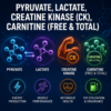 mitochondrial dysfunction test lactate pyruvate creatine kinase carnitine test for mitochondria function