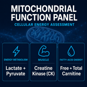Mitochondrial Function & Cellular Energy — Core Blood Panel