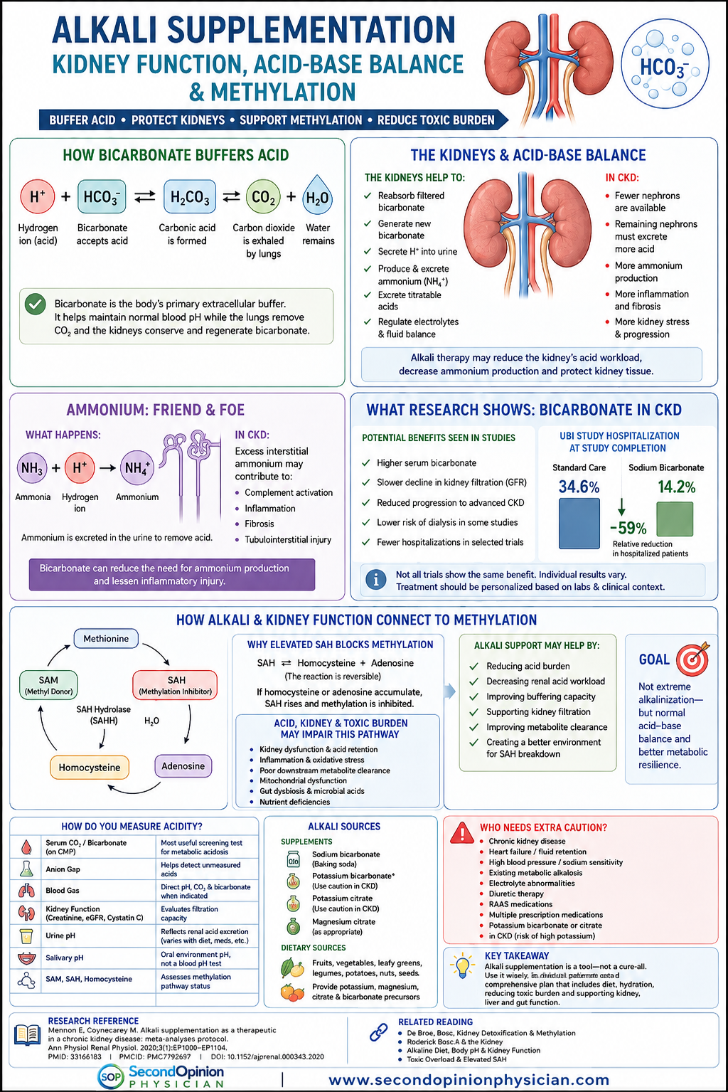 Alkali supplementation infographic showing bicarbonate buffering, kidney acid-base balance, CKD protection, elevated SAH and methylation