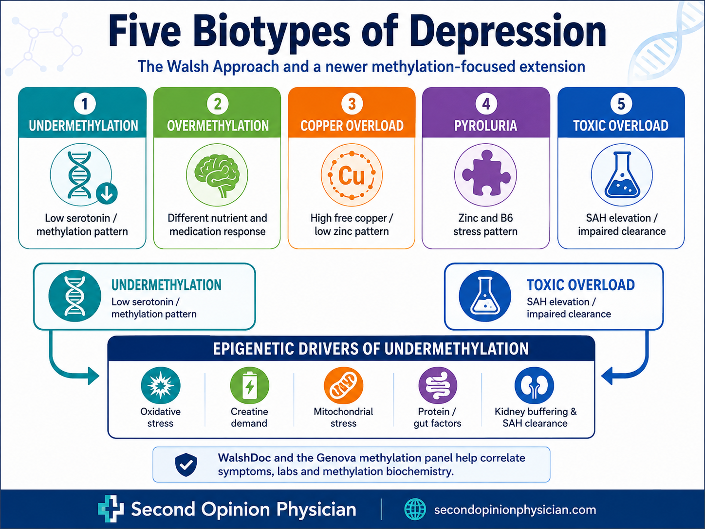 Five biotypes of depression with undermethylation and toxic overload feeding into the Epigenetic Drivers of Undermethylation