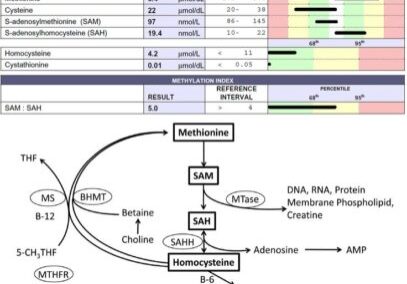 methylation and depression