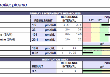 doctors data methylation test for undermethylation